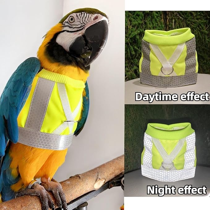 Pet Parrot Bird Harness and Leash, Adjustable Training Design Anti-Bite, Bird Nylon Rope for Parrots, Waterproof and Reflective, Suitable for Macaw Cockatoo Cockatiel Lovebird Conure African Grey (M)