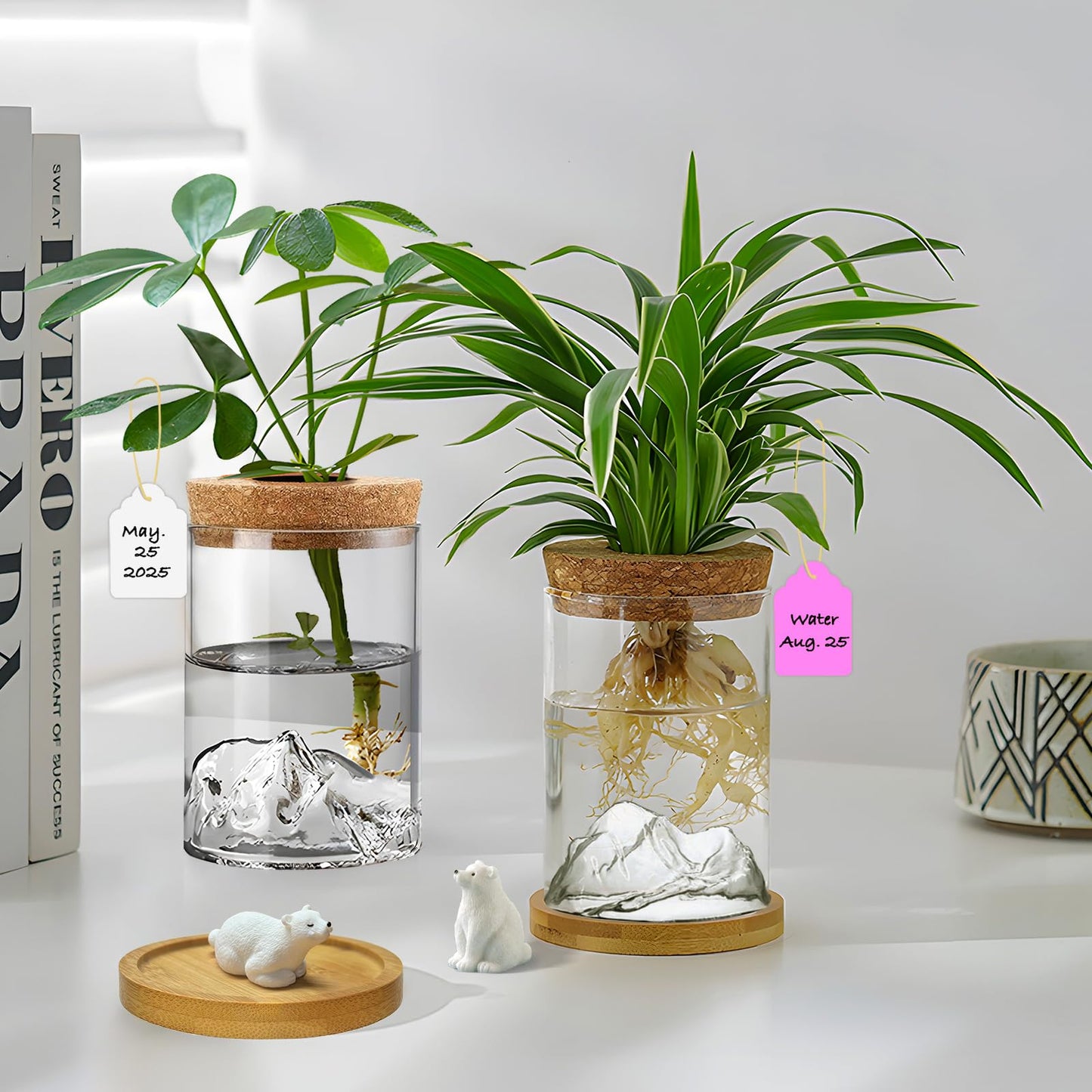 Plant Propagation Stations, 2Pcs Desktop Plants Terrarium Glass Hydroponic Vases with Bamboo Saucer, Water Plants Jars, Mountain-Shaped Bottom, Ideal Gifts for Women Mon Plant Lovers