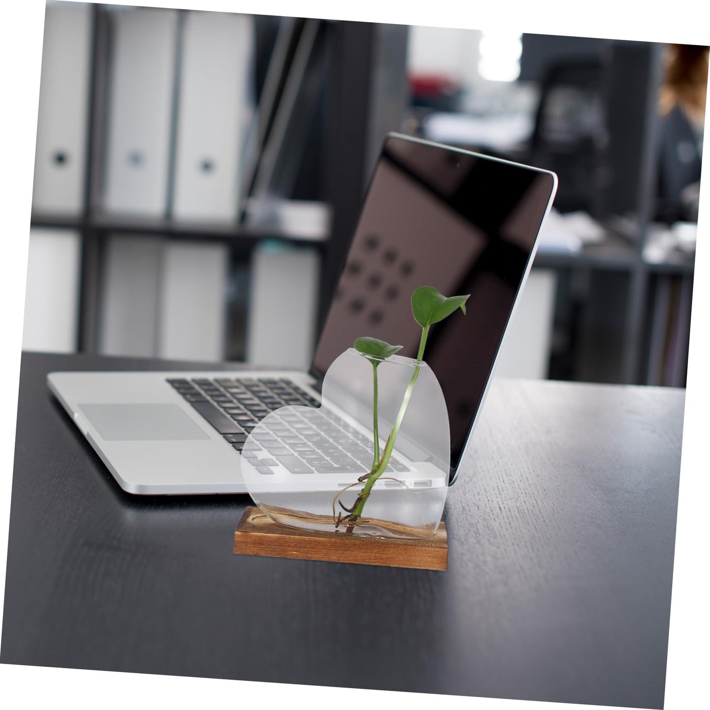 SUPVOX Heart Shaped Glass Vase: Hydroponic Plants Station with Wooden Base Propagation Terrarium Container for Home Offices Windowsill Decors