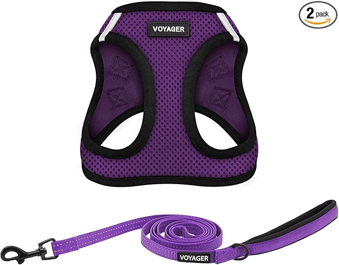 Best Pet Supplies Voyager Step-in Air All Weather Mesh Harness and Reflective Dog 5ft Leash Combo with Neoprene Handle, for Small, Medium and Large Breed Puppies - Purple/Black Trim, Small