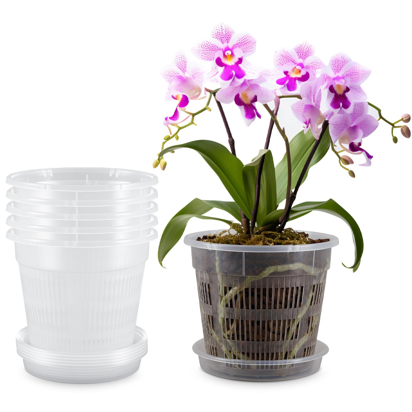 SiliFine 6 Pack Orchid Pot with Holes and Saucers 7.5 Inch Clear Plastic Planter with Holes Trays Breathable Slotted Flower Plant Pot for Indoor Outdoor Plants Nursery Root Health Repotting