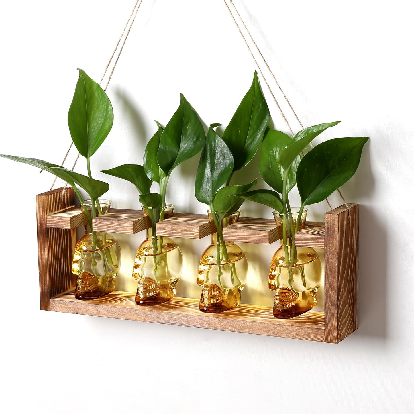 Plant Propagation Stations Halloween Skull Plant Terrarium Kit Glass Vases Gift for Father Air Planter Home Office Decor