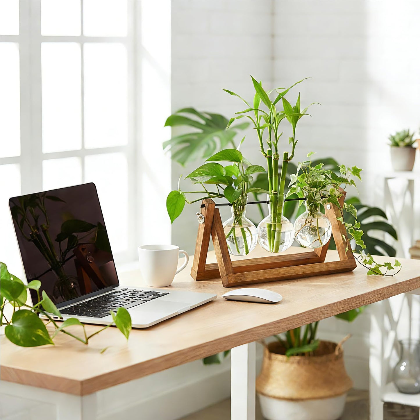 Renmxj Plant Propagation Stations with Wooden Stand & 3 Glass Bulb Vases - Plant Terrarium for Indoor Plants, Home Office Desk Decor, Gardening Gifts for Women Mom, Birthday Gifts for Plants Lovers