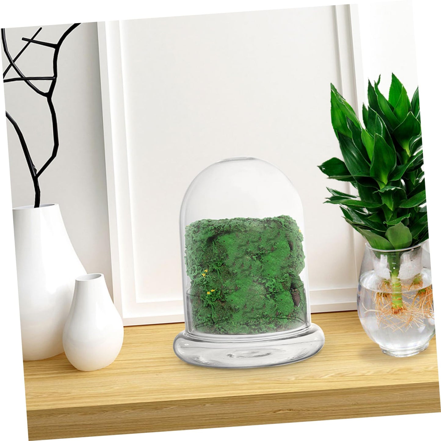 HEMOTON Eco Bottle Moss Glass Terrarium Air Plant Holder Hydroponic Vase Micro-Landscape DIY Decor