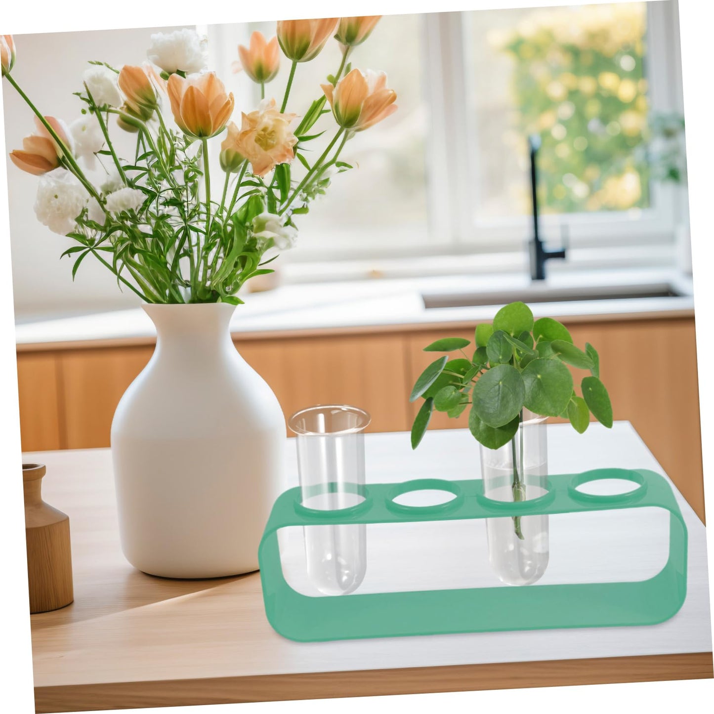 Garneck 4pcs Glass Plant Test Tube Vase Small Vases for Hydroponic Flowers Terrarium Desk Decor