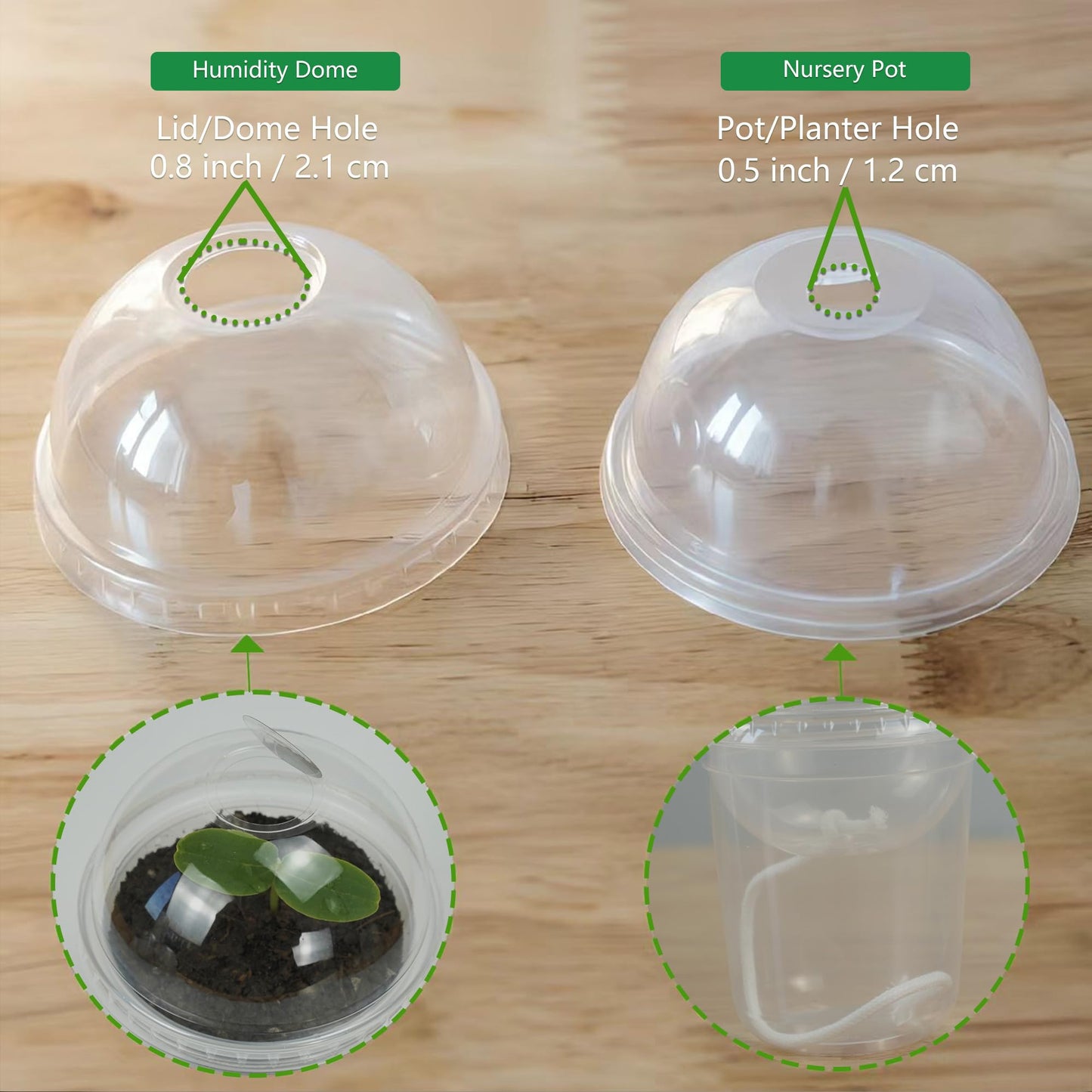 ORIMERC 15 Set Nursery Pots with Humidity Dome, Clear Nursery Pots with Drainage, Self Watering Small Plant Pots, Seedling Pots for Plants, Seed Starter Pots for Planting Vegetables Fruit (Thick)
