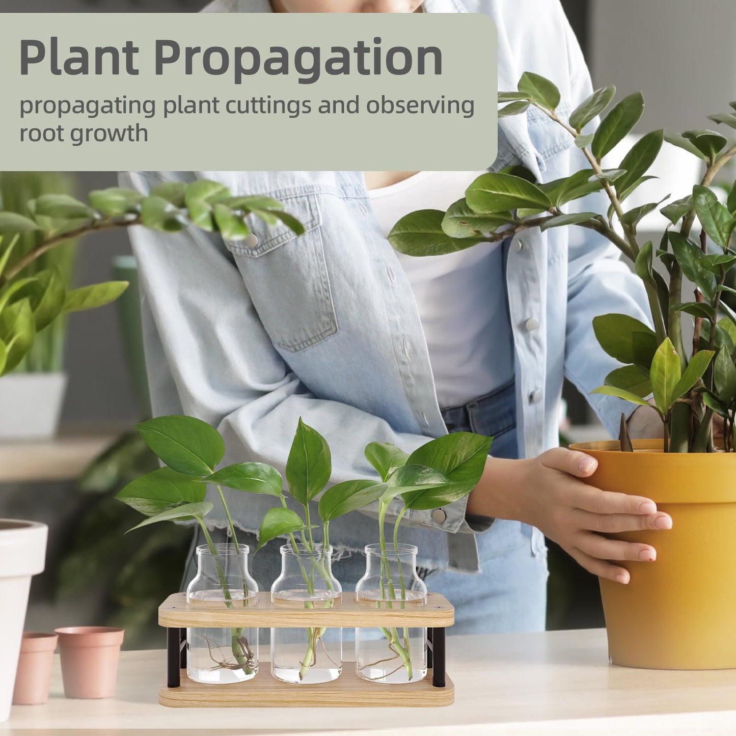 THYGIFTREE Plant Propagation Station with Wooden Stand, Propagation Vases Glass Planters for Indoor Plants Hydroponic Propagating Jars Home Office Decor, Plant Lover Gifts