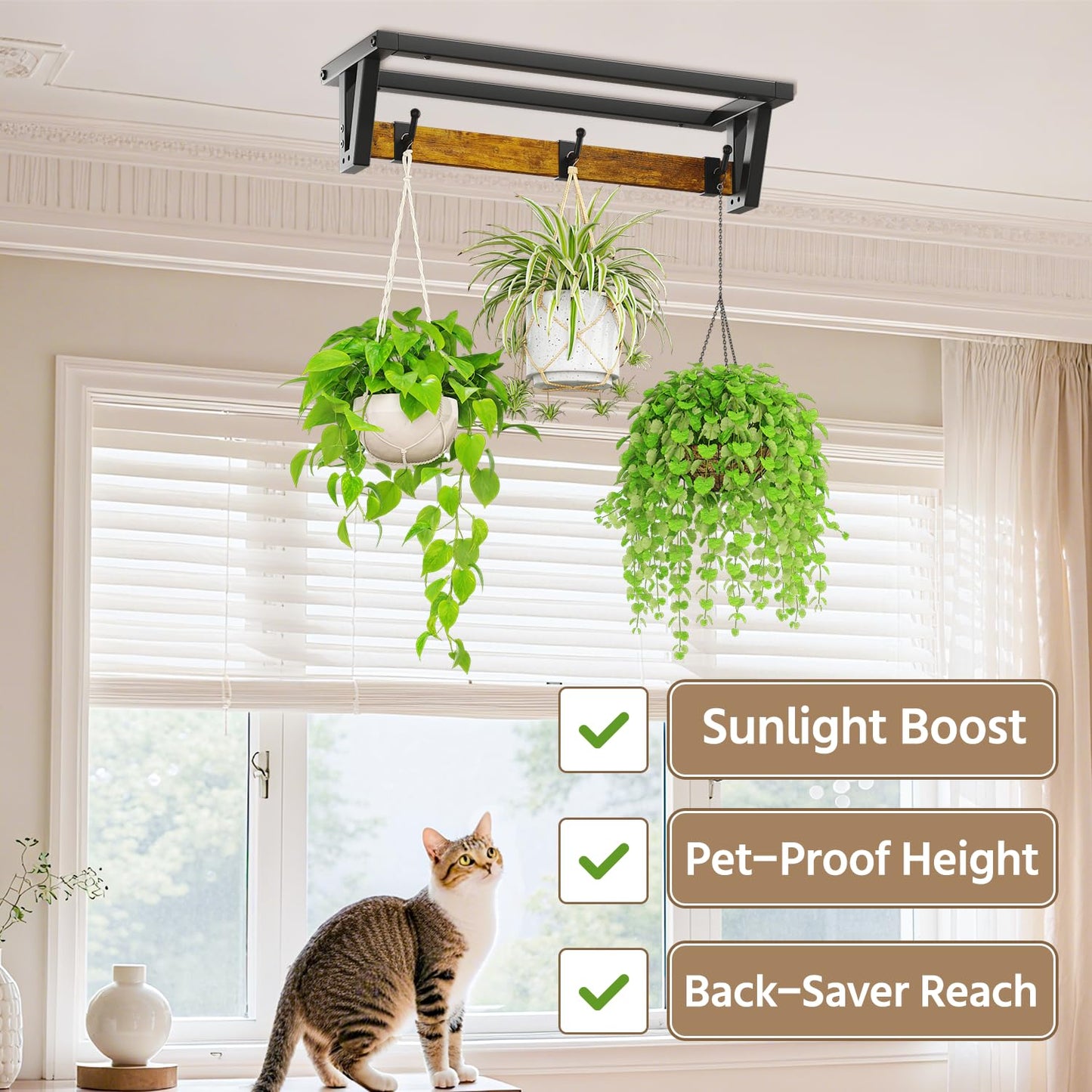 LASZOLA 2 Pcs Plant Hanger Indoor with 6 Heavy Duty Hanging Hooks, Metal and Wood Wall Mounted Plant Hanging Rod, Plant Shelves Holder Bar for Kitchen Window Ceiling (Pot/Chain/Plants not Included)