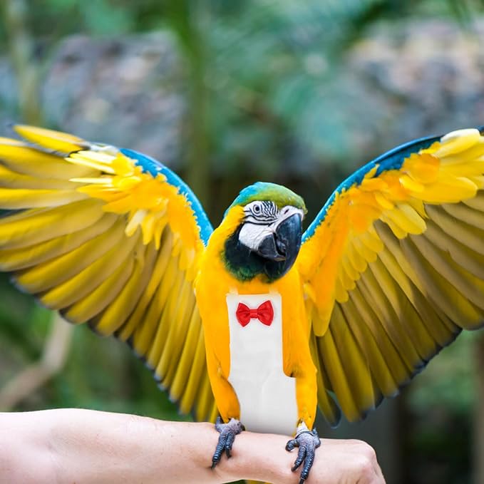 Generic Flight Bird Diaper Suit for Parrots Liner for Outdoor Fun and Comfortable Design for Parakeets and Cockatiels