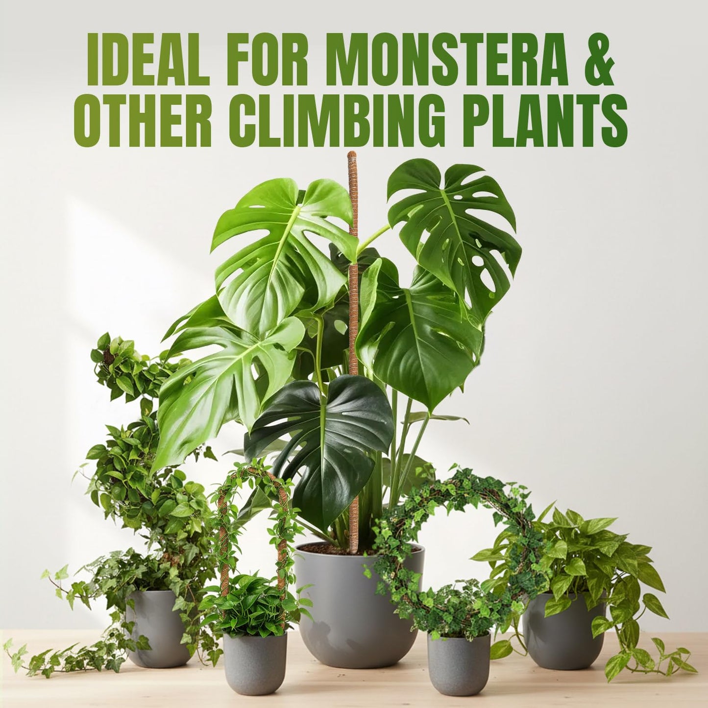 Mcbazel 2 Pack 63 Inch Bendable Moss Pole for Plants Monstera - Extra Tall 5.2ft Coco Coir Plant Support Stakes for Large Indoor Climbing Vines - Flexible Totem Stick Kit with Rope, Wire & Ties
