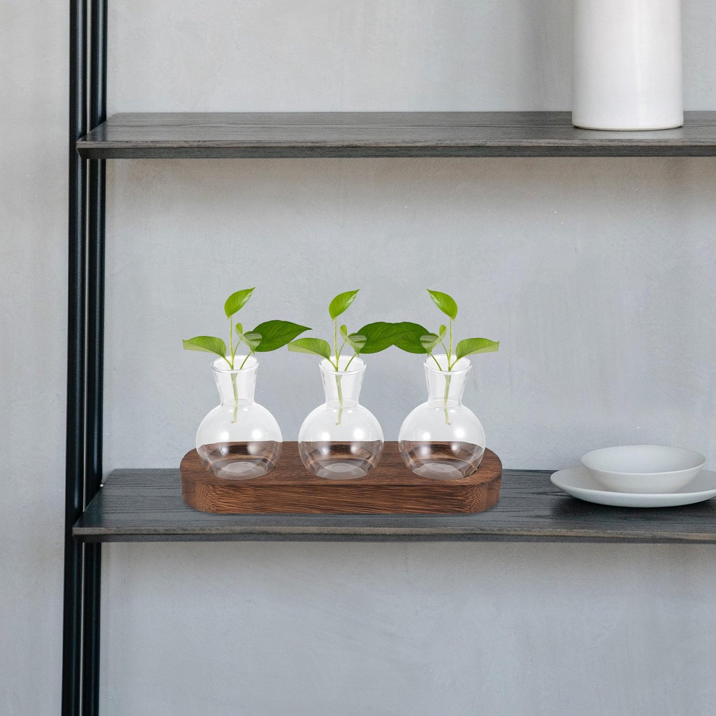 Gatuida Glass Hydroponic Flower Vase Set with Wooden Base, Table Glass Planter for Office and Home Décor, 3pcs Indoor Plant Terrarium Container