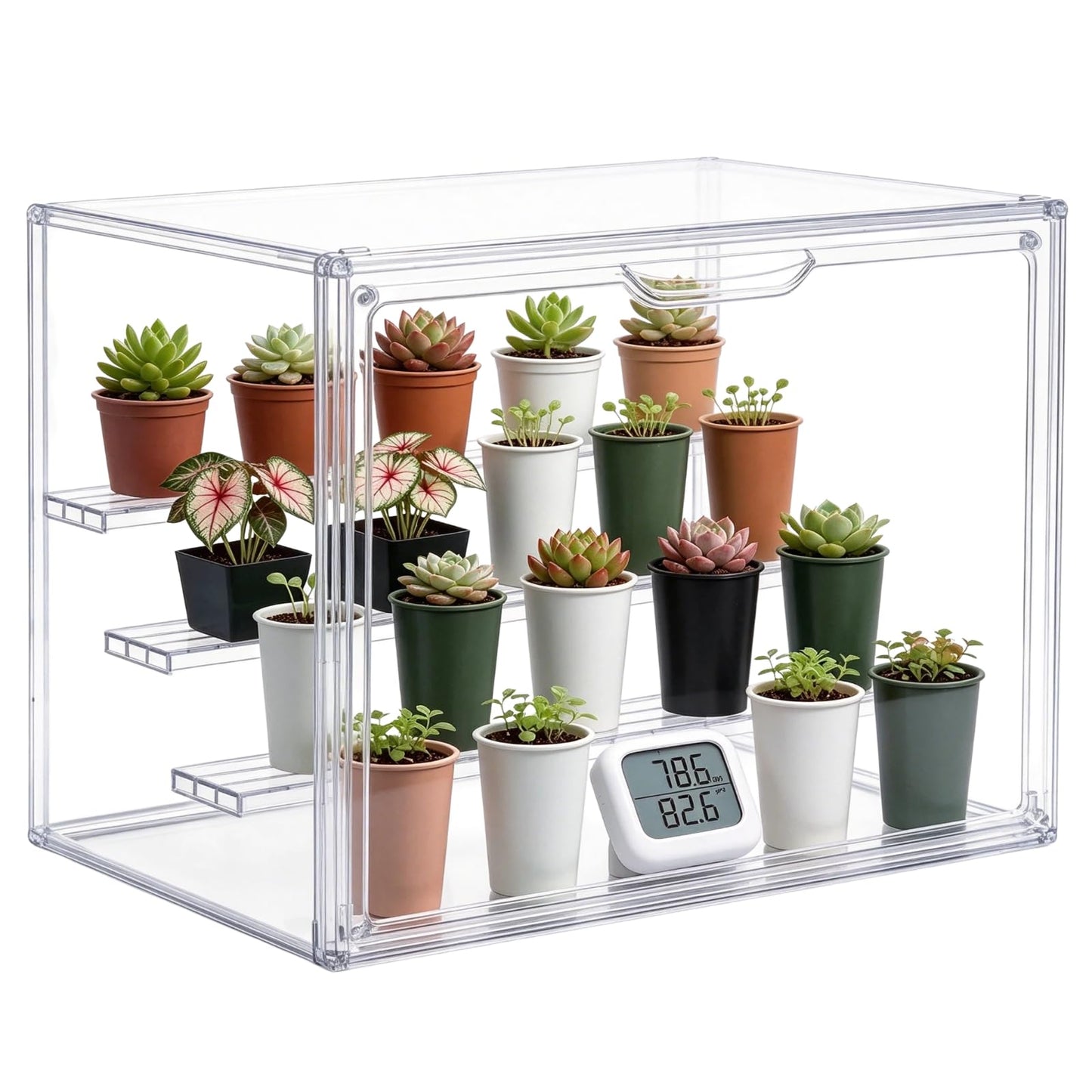 Clear Mini Greenhouse Indoor, Small Portable Tabletop Green House with Magnetic Door for Seed Starting, Plant Grow Warmer and Home Gardening Display