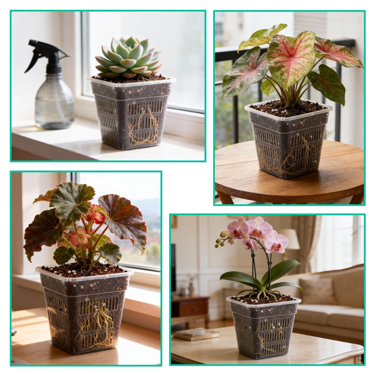BTPLASTIK Clear Square Nursery Pots, 15 Packs 6 Inch Hydroponics Growing Square Pots, Transparent Plastic Plant Pots for Seed Starting, Root Cutting