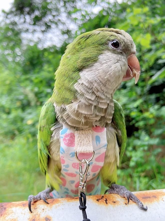 Bird Diaper Harness Flight Suit Clothes, Parrot Flight Suit with Leash, Bird Flying Clothes with Rope and Handle for Outdoor Activities Training (Pink with Leash,Small)