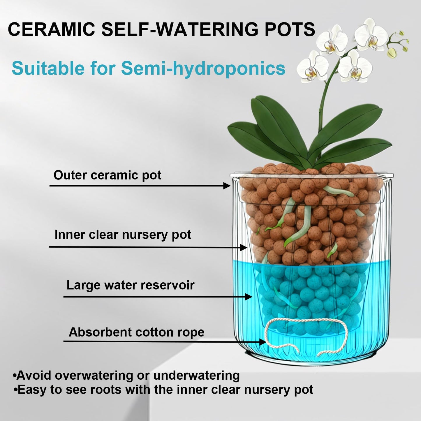 TineDew 2 Pack of 5in Ceramic Cachepot with 5 inch Clear nusery Pot - self Watering Indoor Planter with Drainage for Root Visibility,semi Hydro pots for repotting Orchid,White