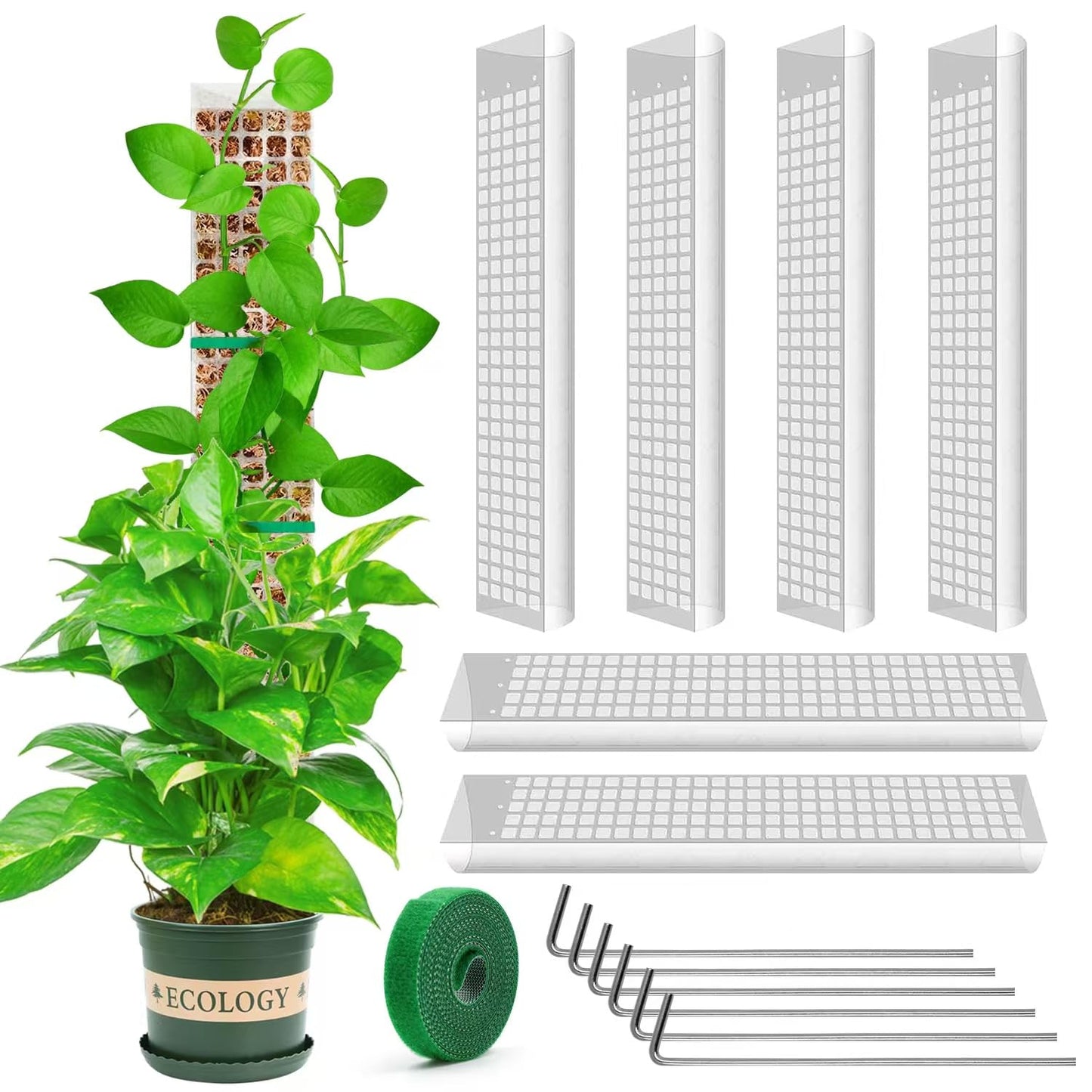 YSKS 6 Pcs 24-inch Plastic Moss Poles for Plants ，Moss Poles for Climbing Plants, Indoor Plant Support Work with Sphagnum muss
