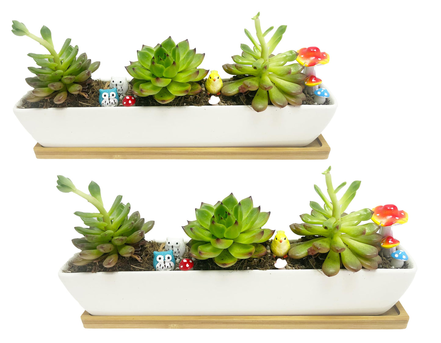 WISH HALLY WOOD White Ceramic Succulent Planter Pots,2 Set of 11inch Long Rectangle Flower Plant Containers with Bamboo Saucers.