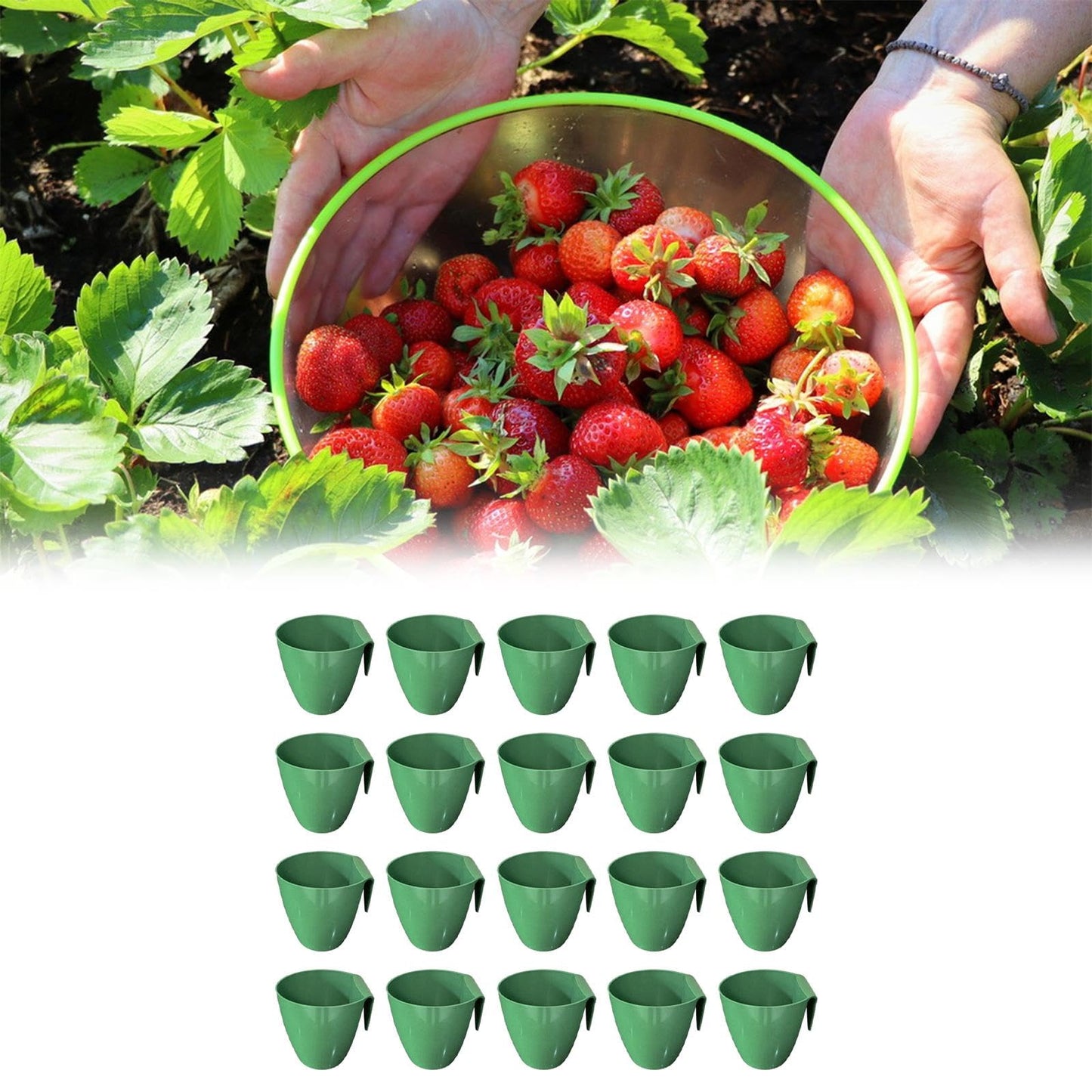 MFMEXUL 20 Strawberry Seed Cups, Accessories for Garden Applications, Size L