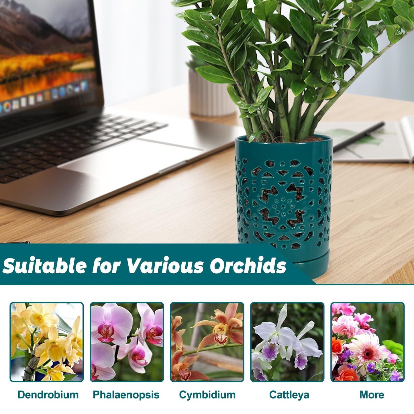 Exzzauk 4 Inch Orchid Pots with Holes, Garden Ceramic Orchid Pots with Separate Saucer for Indoor Outdoor Repotting (Green)
