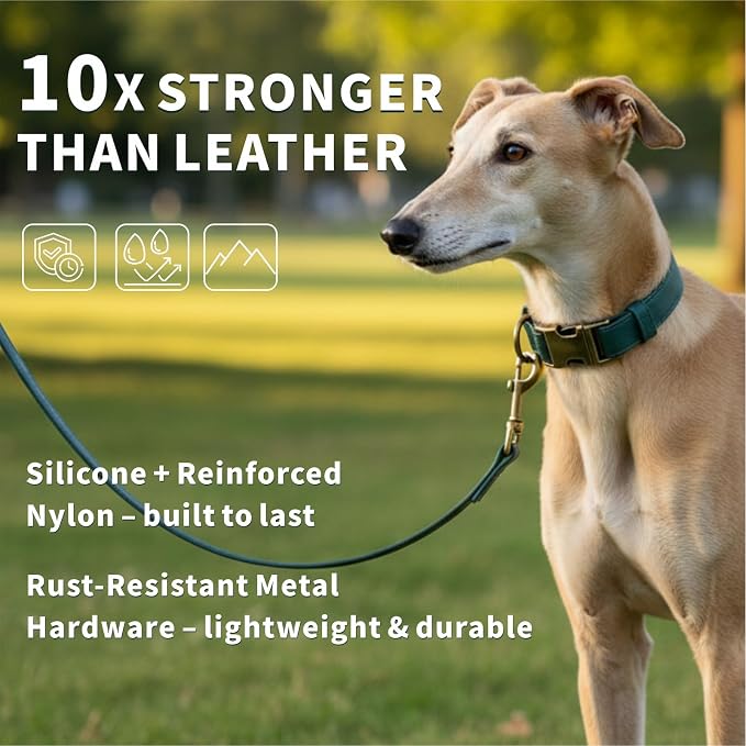 Dog Collar and Leash Set,Leather Silicone Waterproof Odor-Proof Dog Collar and Leash for Medium Dogs, Soft Flexible Dog Collars, Durable Thick Adjustable Pet Collar (Green, Medium (12.5-20 "Neck))
