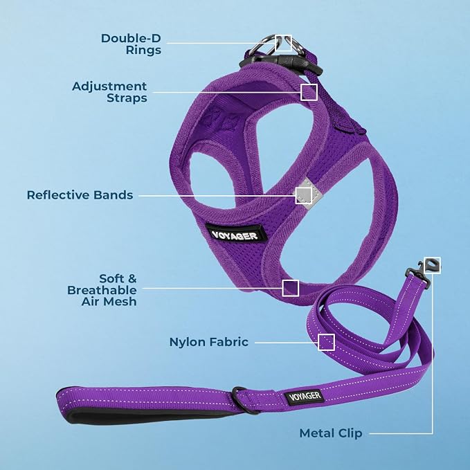 Best Pet Supplies Voyager Step-in Air All Weather Mesh Harness and Reflective Dog 5ft Leash Combo with Neoprene Handle, for Small, Medium and Large Breed Puppies - Purple, Small