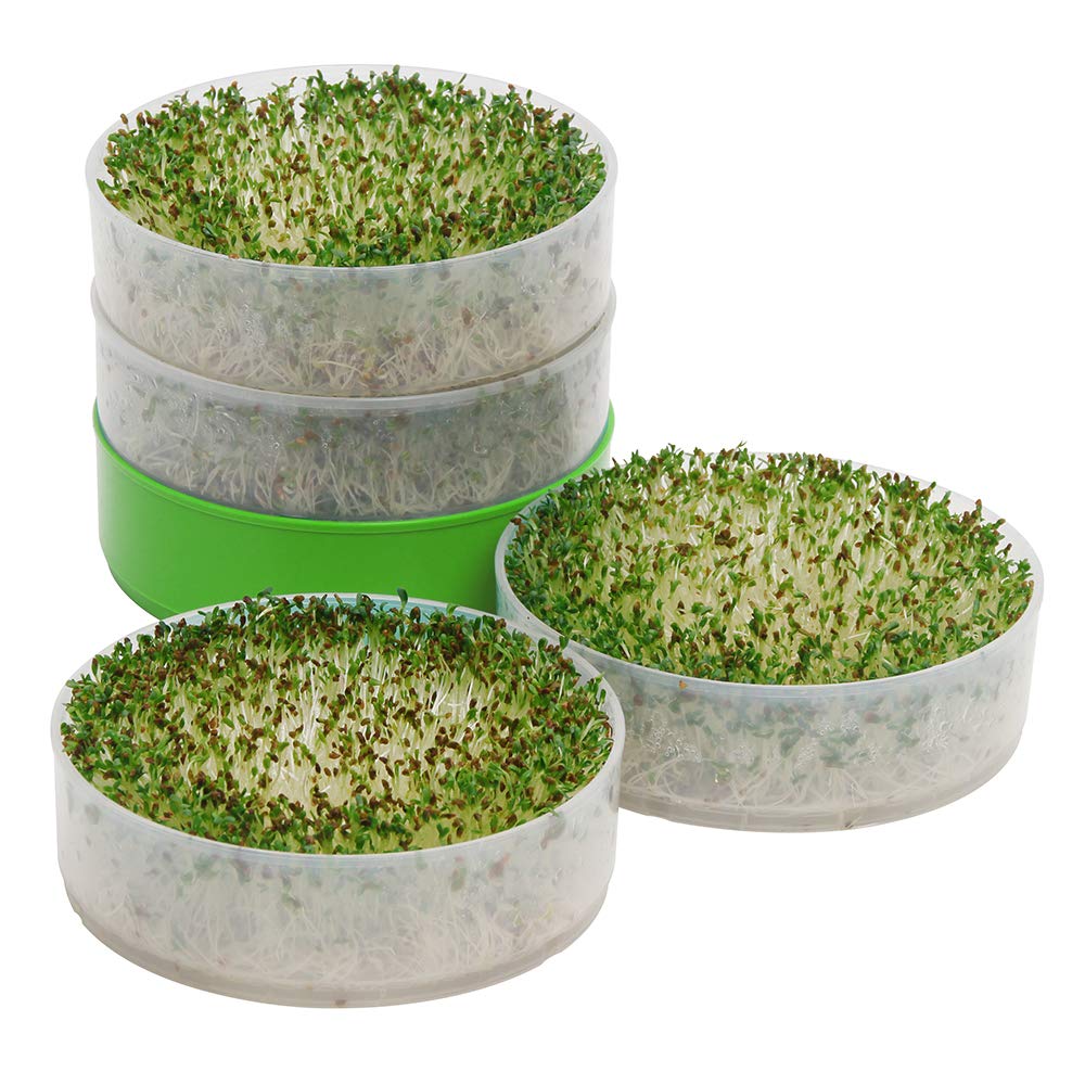 KITCHEN CROP Deluxe Seed Sprouter with 4 Growing Trays and 1 Seed Packets, (Alfalfa Seeds) Easily Grow Sprouts Indoors for a Healthy Lifestyle
