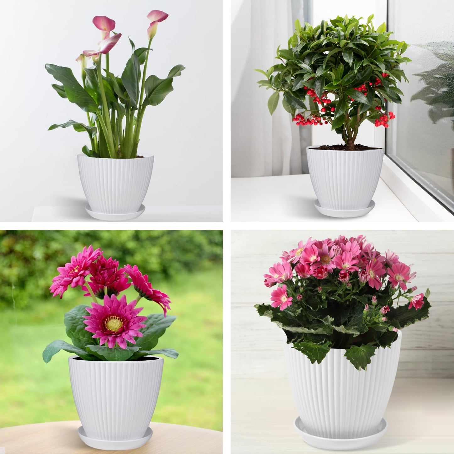 MUXINCAMP 7 Inch Large Plant Pots, 6 Pack Flower Pots with Drainage Hole and Tray Saucer Plastic Plant Pot for Outdoor Indoor House Plants and Flowers Herbs (White)