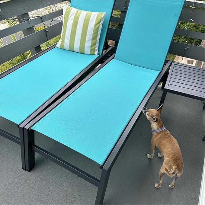 PURPLE LEAF Outdoor Patio Chaise Lounge Set 2 Pieces Pool Lounge Sunbathing