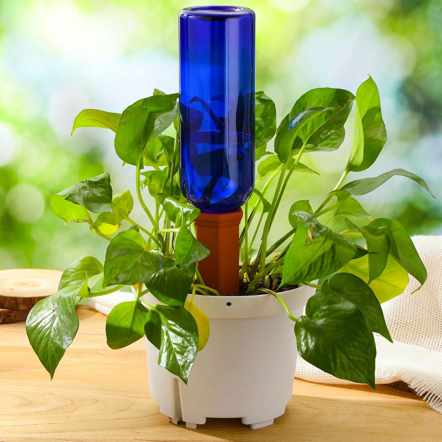 SiliFine 6 Sets Plant Watering Devices Include Terracotta Self Watering Spikes and 26 oz Plastic Bottles, Slow Release Vacation Insert Automatic Plant Waterer Device (Dark Blue and Terracotta)