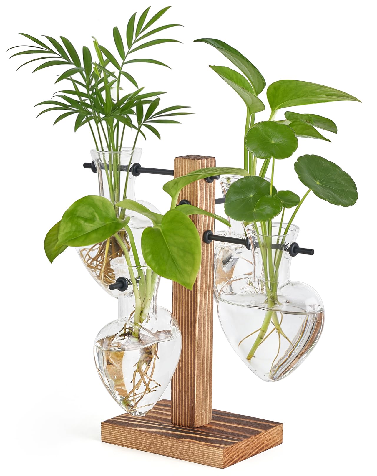 Mkono Heart Shaped Propagation Station with Wood Stand, Glass Hydroponic Planter Desktop Plant Terrarium for Home Office Decor, Gifts for Plant Lovers - 4 Love Bulb Pot Vase