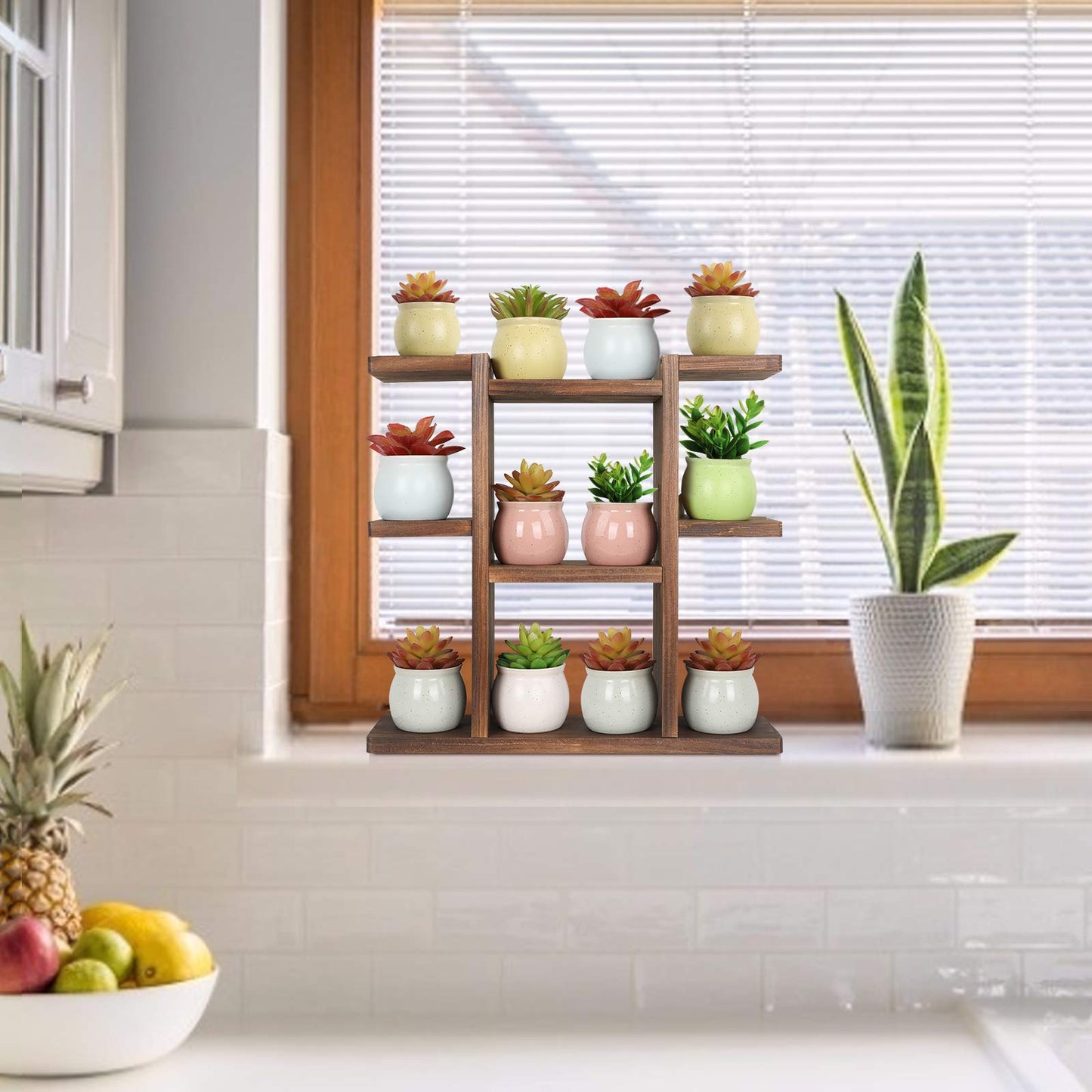 COOGOU Wood Desktop Plant Stand Indoor Small Windowsill Flower Shelf Tabletop Plant Shelf Holder Display Rack for Succulent Herb in Living Room Office 9 Tiers