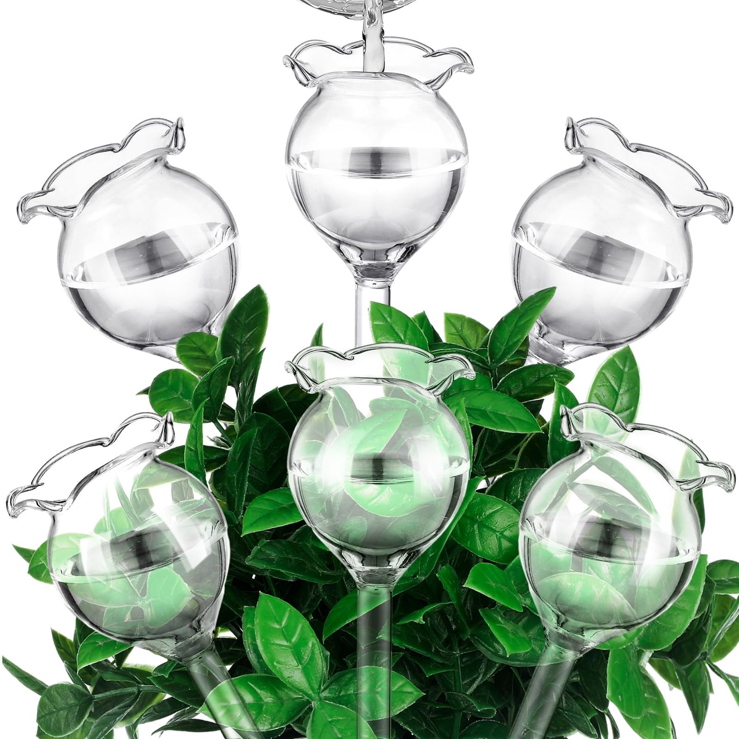 Yungyan 6 Pcs Self Watering Plant Globes Glass Insert Watering Devices Automatic Plant Water Bulbs Water Globes for Indoor Outdoor Plants(Clear Tulip,5.31 Inch)