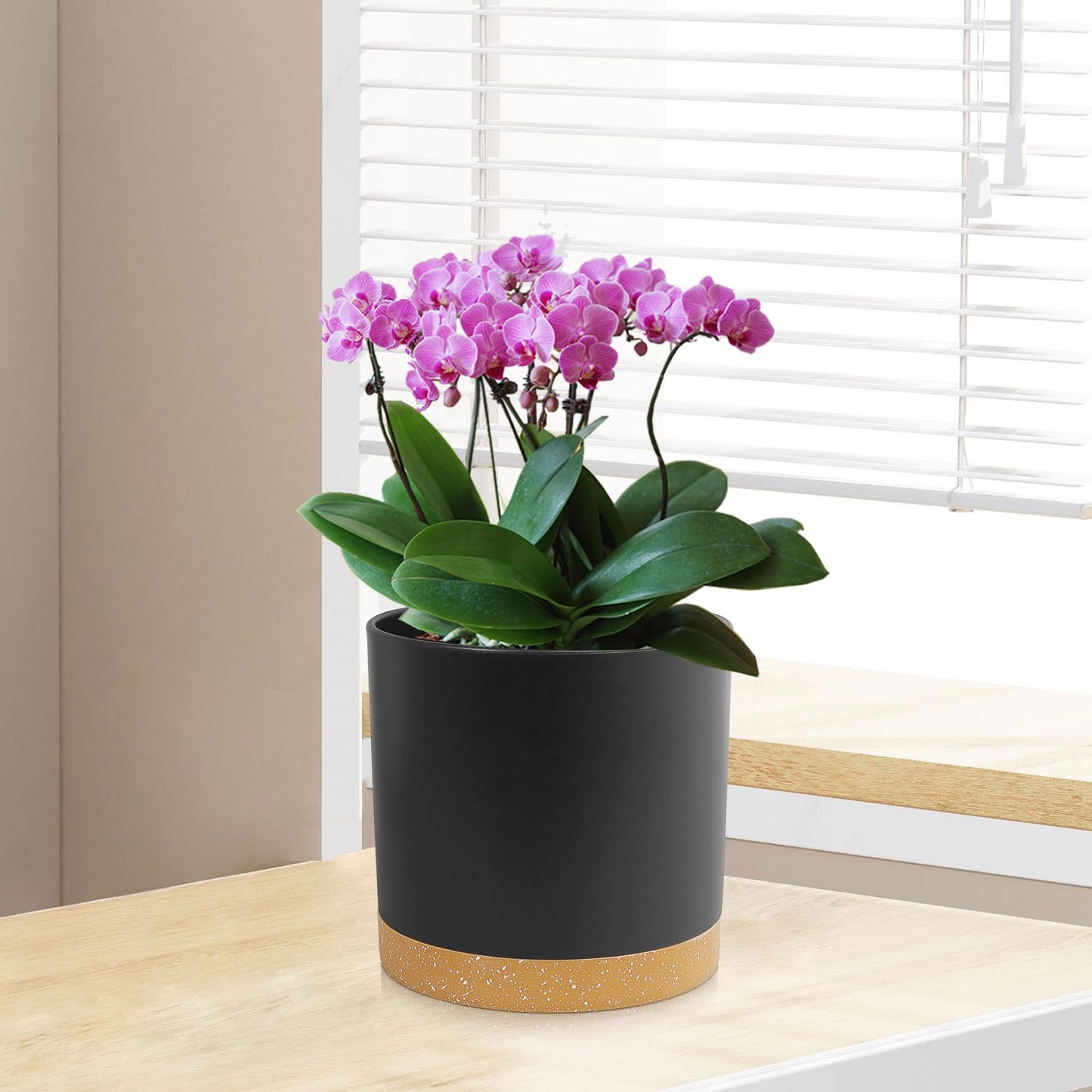 WSMKSZ 3 Pack 6/5/4 inch Cylindrical Flower Pots, Modern Small Round Plastic Plant Pots with Drainage Holes & Saucers, Clean and Refined Planter Pots for Outdoor, Indoor & Office Decor (Black Brown)