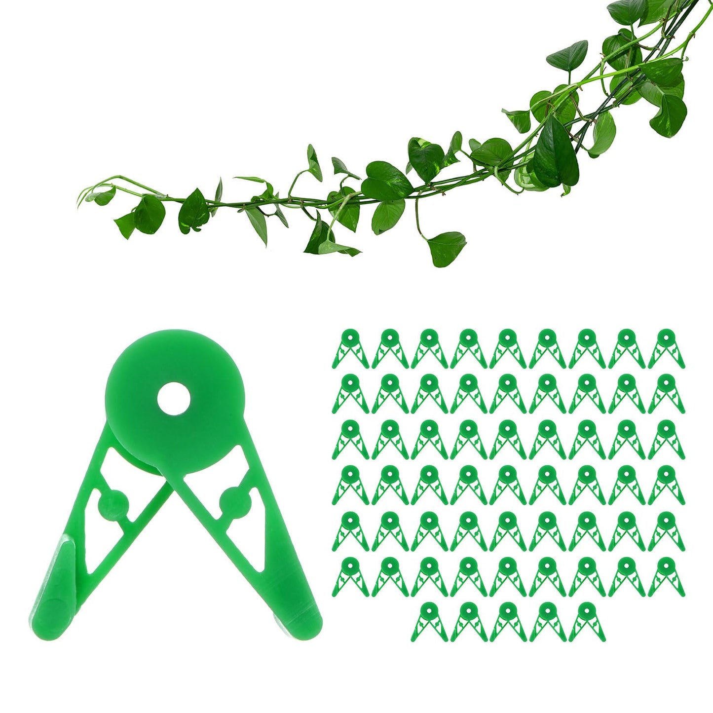 M METERXITY 60-Pack Adjustable Plant Clips, 360 Degree Plant Training Clips, Plant Stem Bender Training Clips for Low Stress Training/Plant Ties/Gardening Accessories [Green]