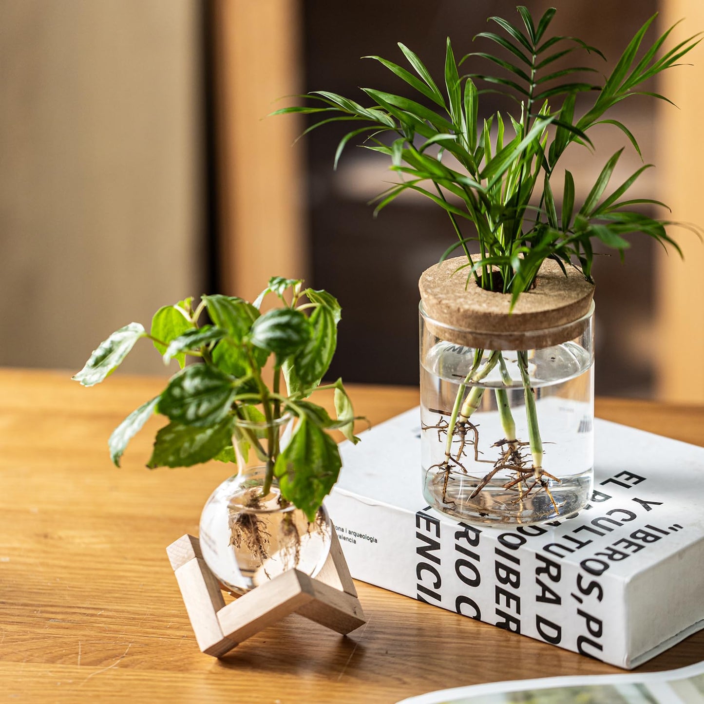 JGKYLDZ Plant Propagation Station, 2 Style Glass Planter Terrarium Set for Hydroponic Plants | Home Office Tabletop Decor, Gardening Gifts for Women, Mom, Plant Lovers (6)