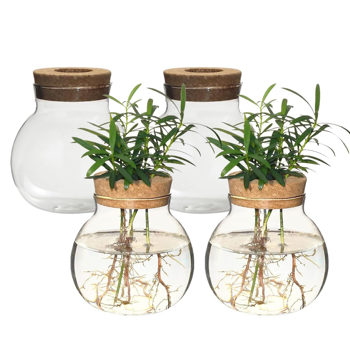 Plant Propagation Station,Hydroponic Terrarium Vase,Desktop Glass Planter Station,for Houses,Garden Decorations,ropagating Hydroponic Plants,Centerpiece Office,Home Garden Decor (4)