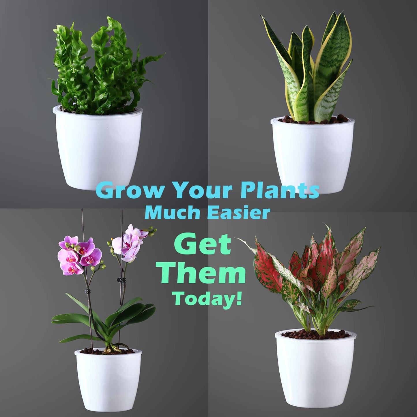 DEELF OUTLET 6 Pack 6.7" Self-Watering Planters Flower Pots for Indoor Garden Devil's Ivy, African Violet, Ocean Spider Plant, Orchid, White Color