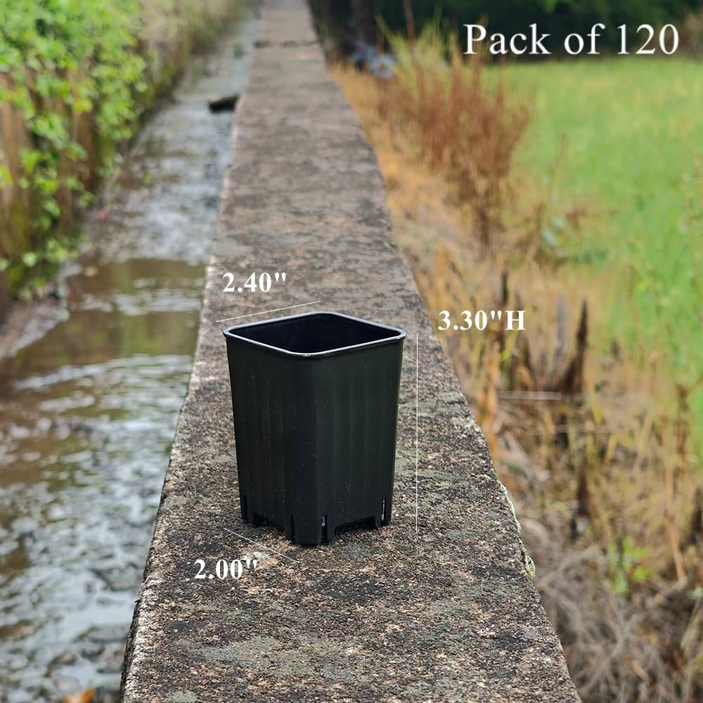 BangQiao 120 Pack 2.40 Inch Small Black Plastic Square Nursery and Seedling Pot, Deep Transplant Seed Starter Planter with Drain Hole for Germination, Herb, Succulent