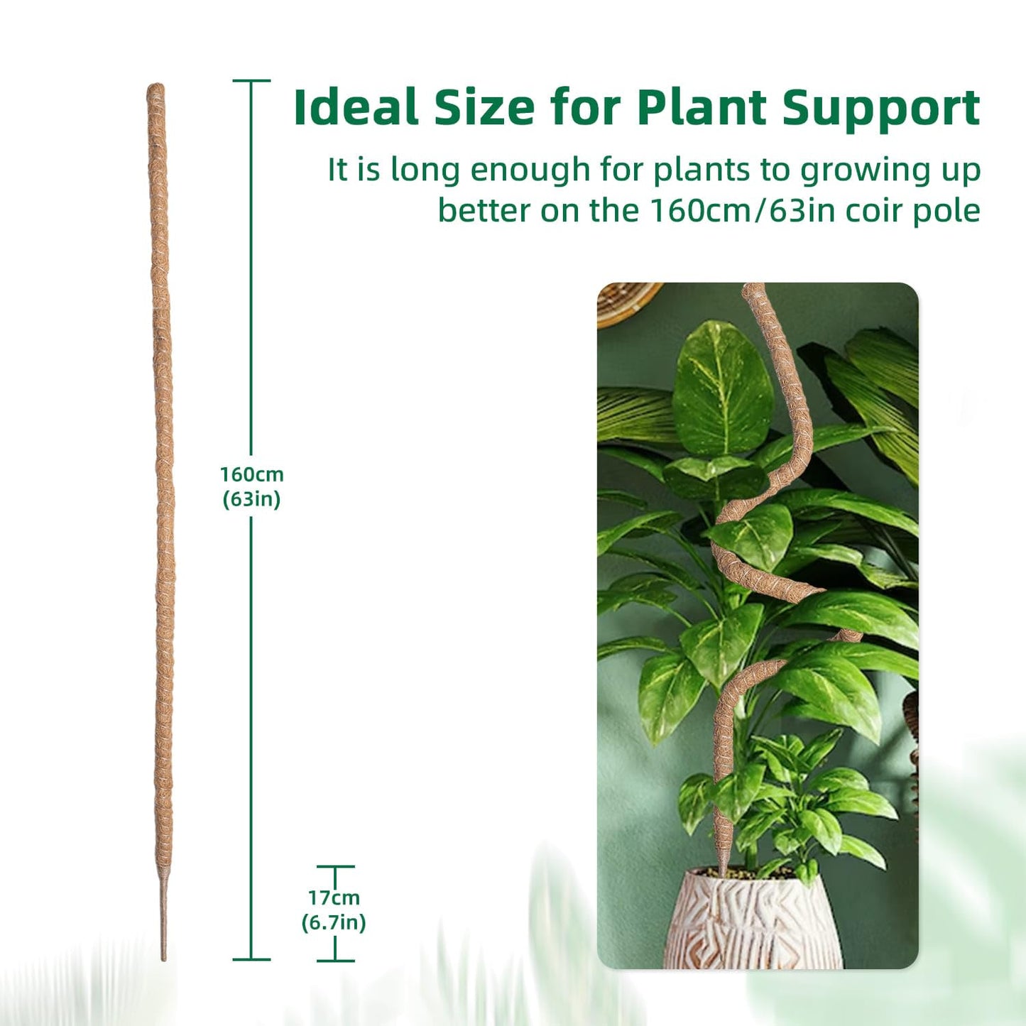Mcbazel 63 Inch Moss Pole for Plants Monstera, Monstera Plant Support Stick, Bendable Moss Poles Plant Support Stick for Climbing Plants, Stick Support Stake Kit for Potted Plants, Pothos,Philodendron