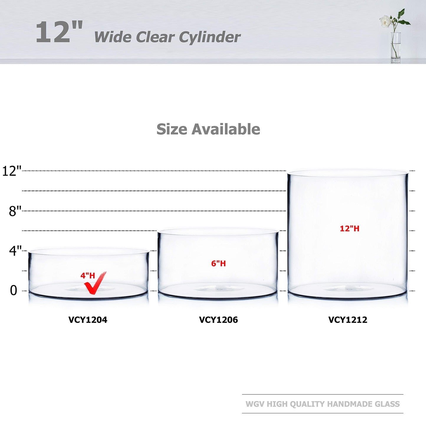 WGV Cylinder Vase, Open Width 12", Height 4", Clear Flat Pan Style Container, Planter Terrarium, Floral Centerpiece for Wedding Party Event, Home Office Decor, 1 Piece