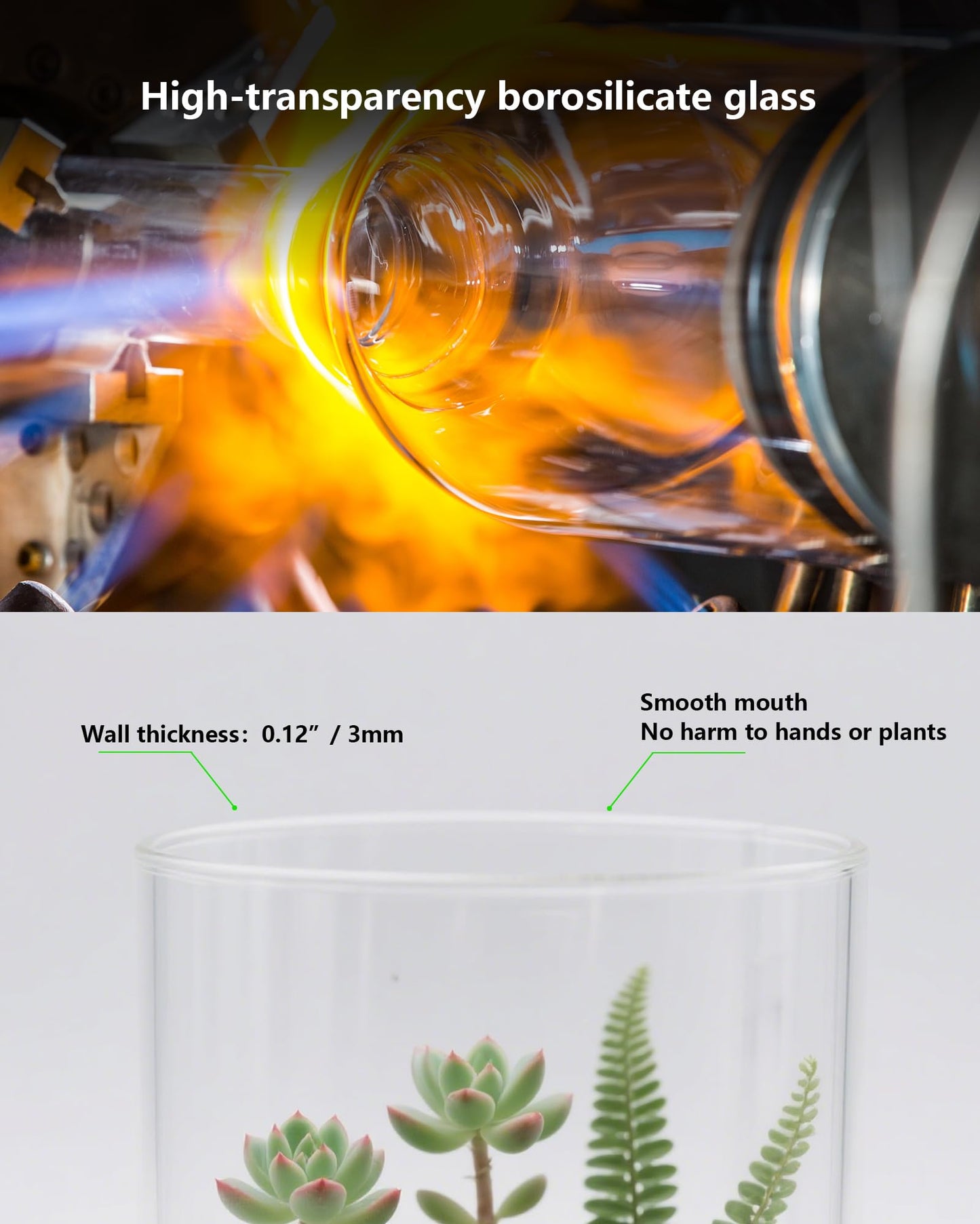 Desktop Glass Terrarium with Grow Light (9.8" H x 5.9" D) - for Succulents, Moss, Mini Gardens, Betta Fish Tanks, Mushroom Cultivation | Indoor Plant Growth | Office/Home Decor | Plant Lover Gifts