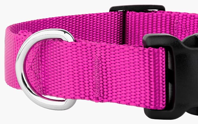 Country Brook Petz - Everyday Nylon Dog Collar and Leash - 10+ Cool Colors (3/4 Inch, Medium, Fuchsia)