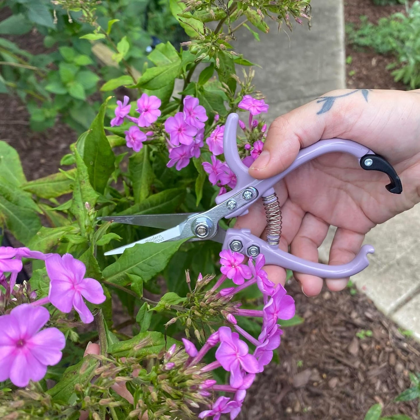 Modern Sprout Pruning Shears - Herb Snipping Scissors- Lightweight Gardening Tools W/Easy Lock - Flower Cutter Garden Shears - Carbon Steel Blade + Plastic-Free Reusable Holster (Multicolor 4 Pcs)