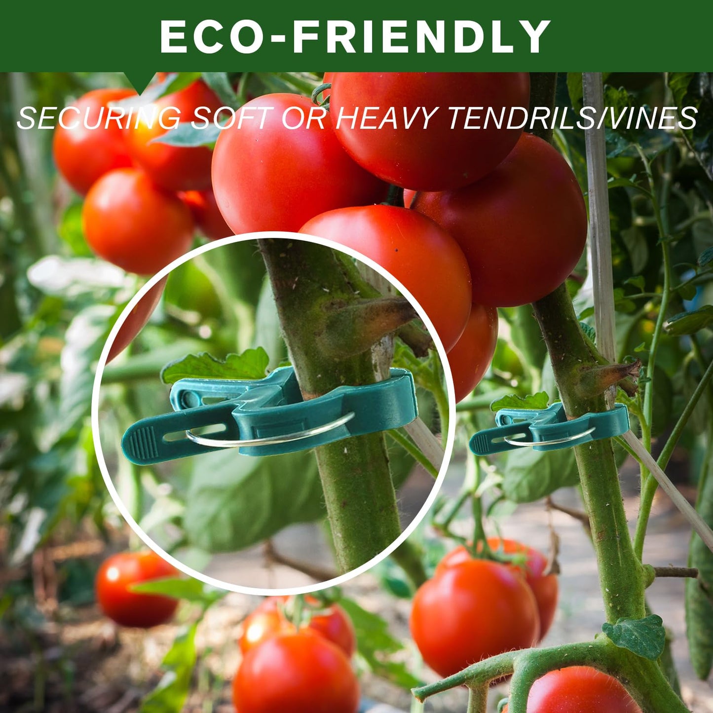 Iniscape A Plant Clamp Used for Climbing Plants,Horticultural Clip Used to Support Climbing of Flower Stems, Vines, Vegetables, and Tomatoes,Vine Clip for Garden Vine Training (Green, 60 small60 Big)