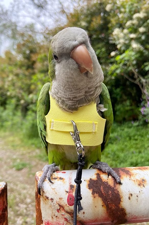 Bird Flight Harness Vest Parrot Flight Suit with Leash for Parakeets Cockatiels Conures Budgies, Bird Flying Clothes with Rope and Handle for Outdoor Activities Training (Medium,Yellow)