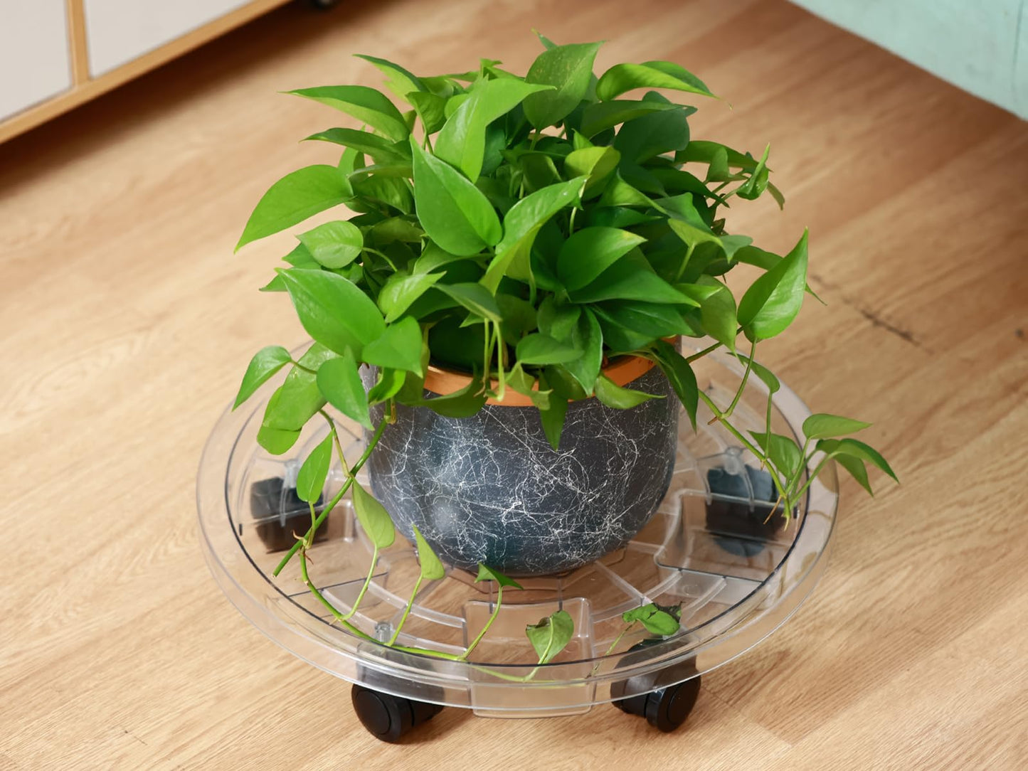 KvyusFlourish 4 Packs 16 Inches Extra-large Clear Plant Caddy Plant Saucers on Wheels Rolling Plant Stands Heavy-duty Plant Dolly Plastic Planter Roller Base Pot Movers Outdoor Plant Tray Coaster