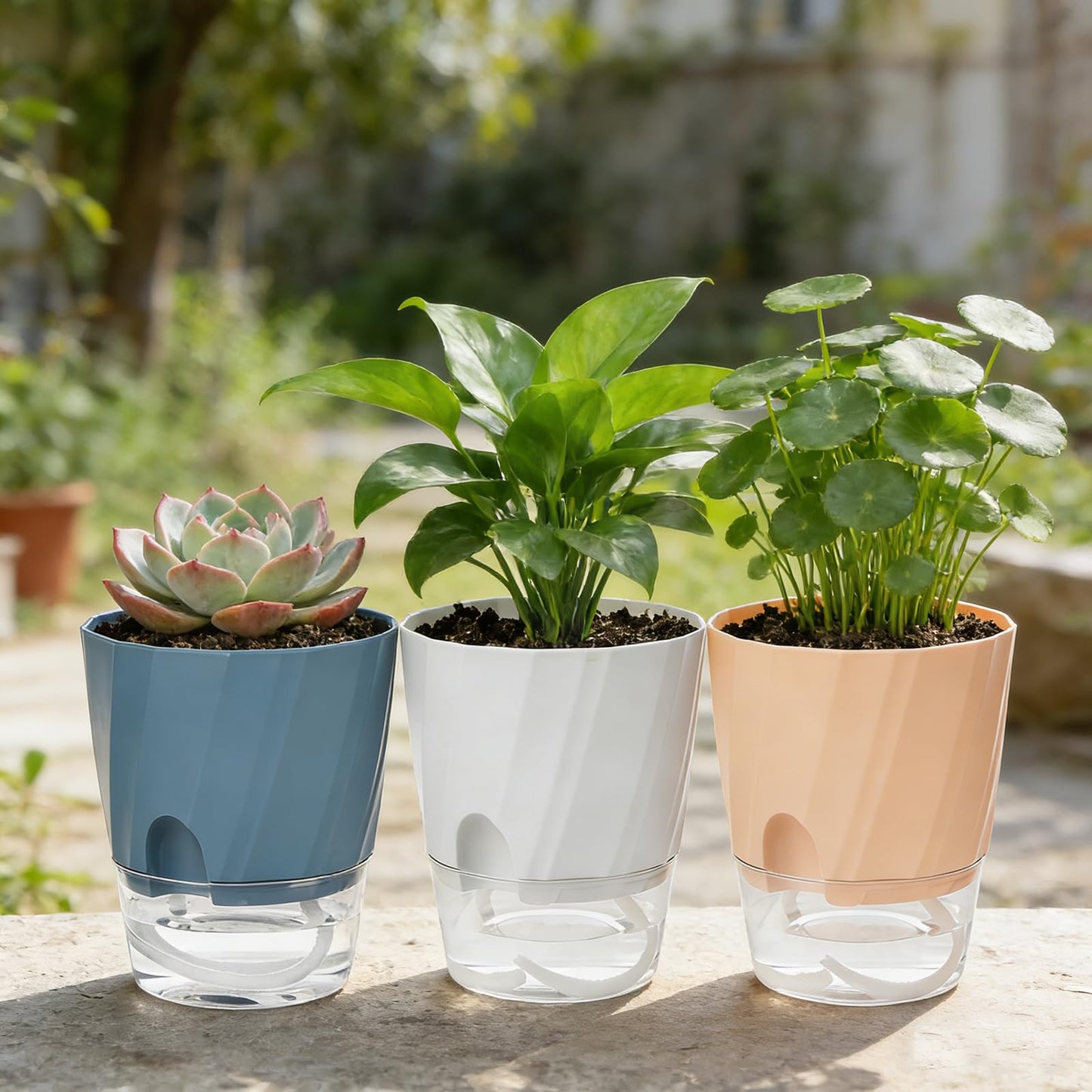 KIMCHOMERSE Self Watering Plant Pots 4.7 Inch, 3 Pack Indoor Planters with Drainage Holes & Saucers, Decorative Plastic Flower Pots for House Plants Home Office Decor (White, Pink, Blue)