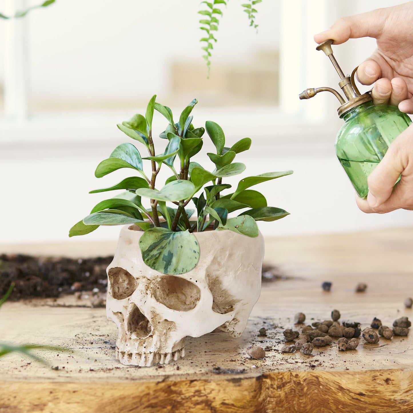 Sinromrich Skull Planter Pot for Plants - Realistic Human Skull Head Flower Pot, Halloween/Gothic Décor, Resin Planter for Succulents, Bonsai, Cactus, Home Bar, Desk, Spooky Gift Idea (Antique White)