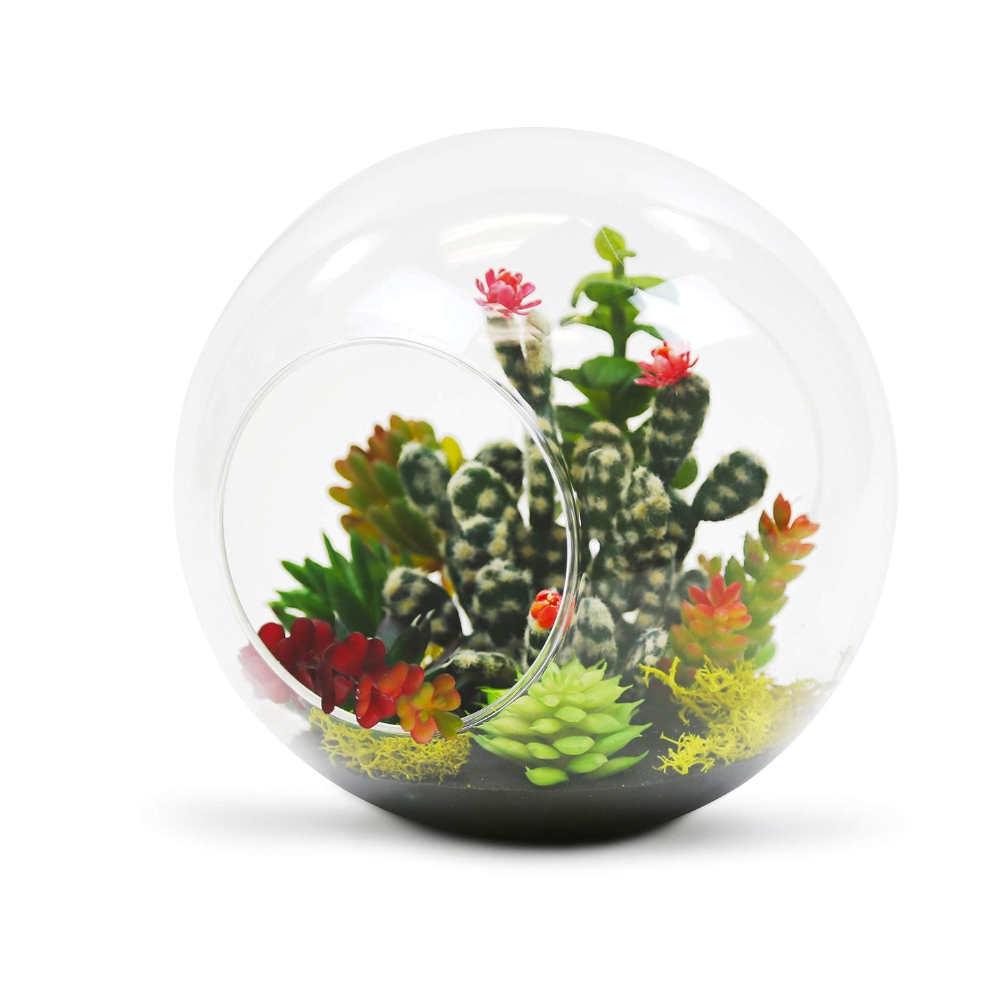 WGV Planter Terrarium, Width 8" Height 8", Clear Round Glass Vase Container with Two Side Opening, DIY Air Planter, Votive Candle Holder for Decor, 1 Piece