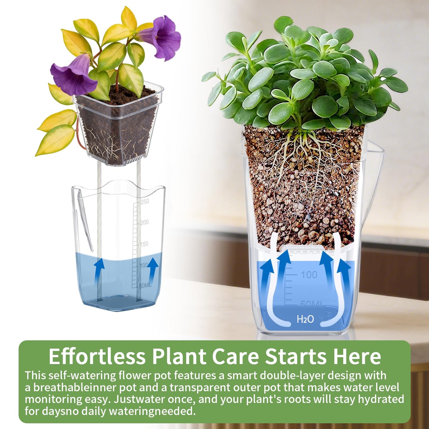 8 Pack Self Watering Pots with Transparent Double-Layer Design, 2.5" Small Plastic Planter for Indoor Plants, Semi-Hydro, Propagation, Flowers, Herbs - Includes 12 Plant Labels & Flower Stickers